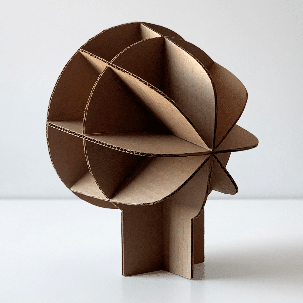 Cardboard mockup of light body shape